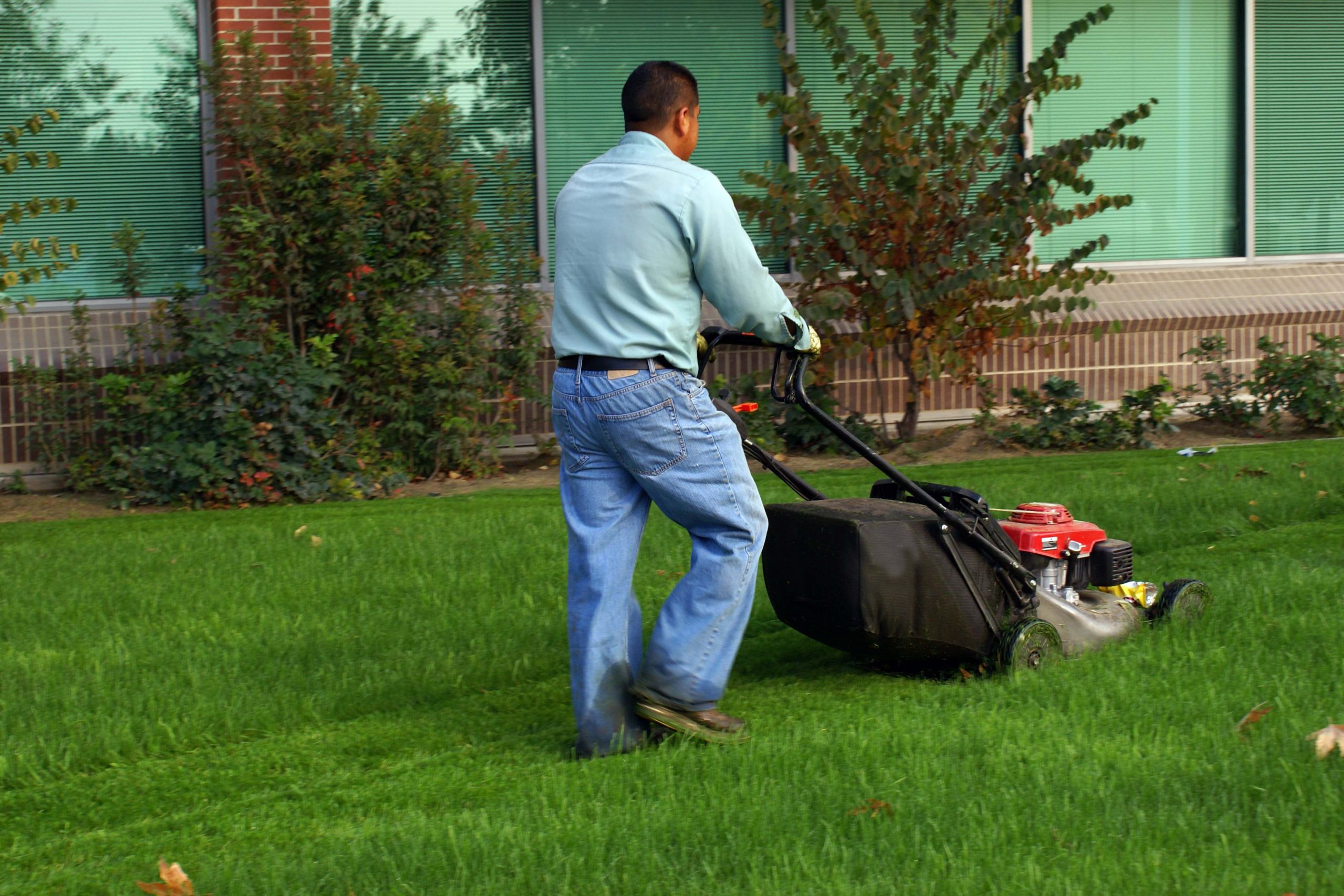 Landscaping Solutions - Elite Facility Maintenance